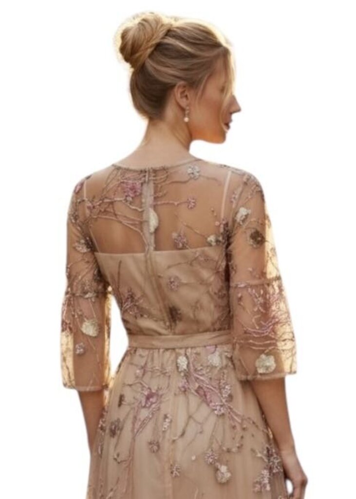 Embroidered Prairie Sleeve Sheer Midi Dress
