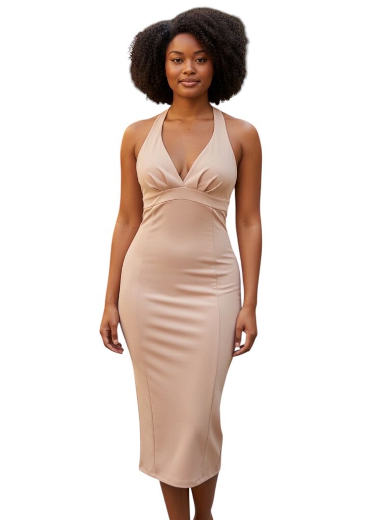 Nisup Halter Neck Sheath Dress