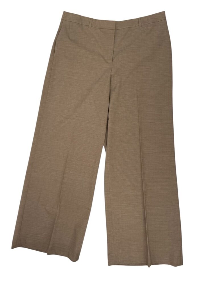 Pleated Wool Wide Leg Pants