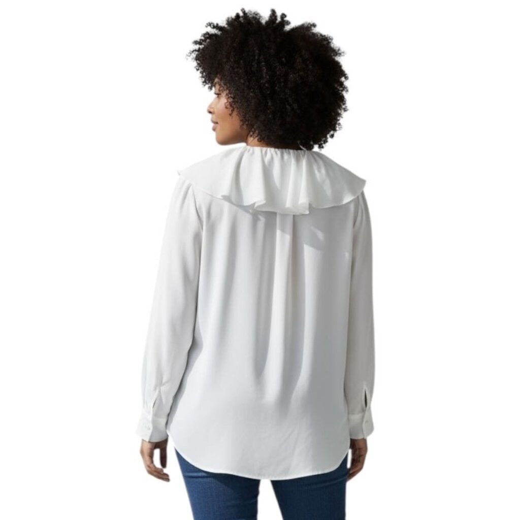 Ruffled Long Sleeve V Neck Top