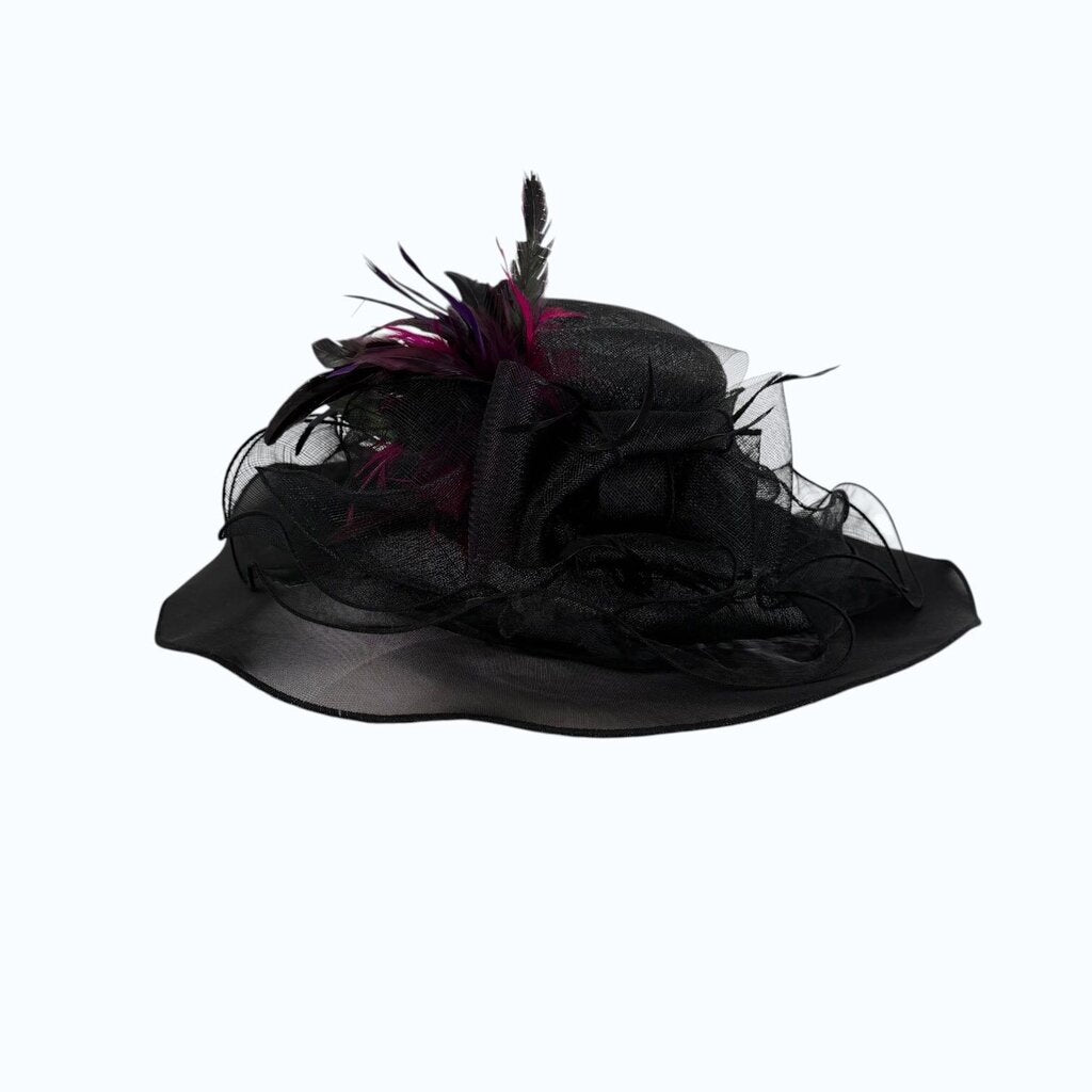 Black Lrg Rim Hat with Multi Feathers/BC6