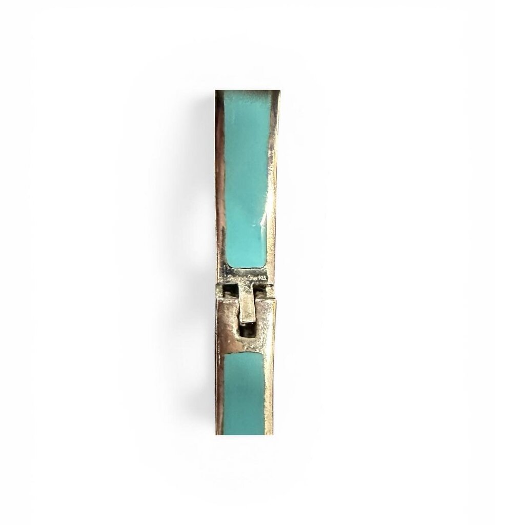 Vintage Resin Bamboo Hinged Bangle