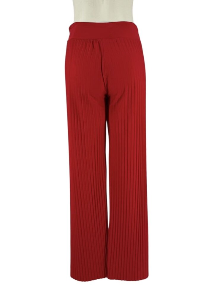 Pleated Wide Leg Pants/LB5