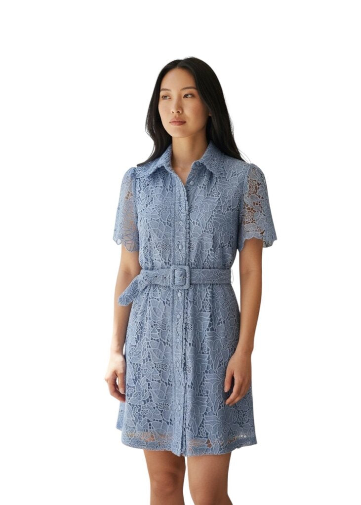 Allison New York Eyelet Midi Blue Collar Dress